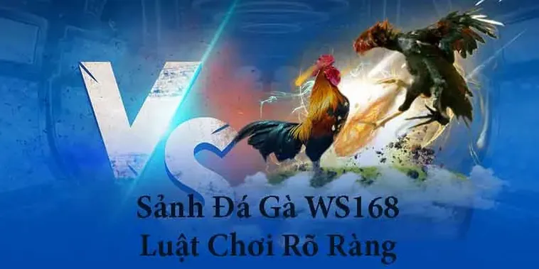 Cách Chơi Đá Gà WS168 Tại 92Lottery: Hướng Dẫn Chi Tiết Cho Kê Thủ Chuyên Nghiệp 2 Cách Chơi Đá Gà WS168 Tại 92Lottery: Hướng Dẫn Chi Tiết Cho Kê Thủ Chuyên Nghiệp