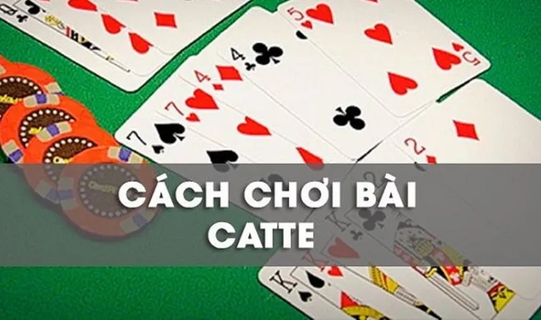 Bí Quyết Chơi Sắc Tê 92Lottery Dễ Thắng Dành Cho Người Mới Bắt Đầu 2 Bí Quyết Chơi Sắc Tê 92Lottery Dễ Thắng Dành Cho Người Mới Bắt Đầu